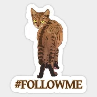 Follow me Sticker